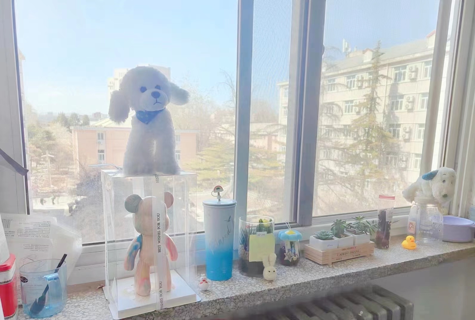 澳门赌场在线门户主页